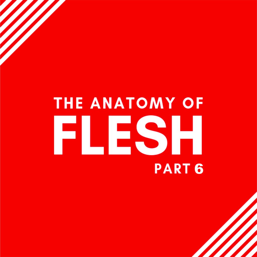 Anatomy of The Flesh Part 6