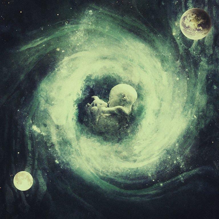 womb