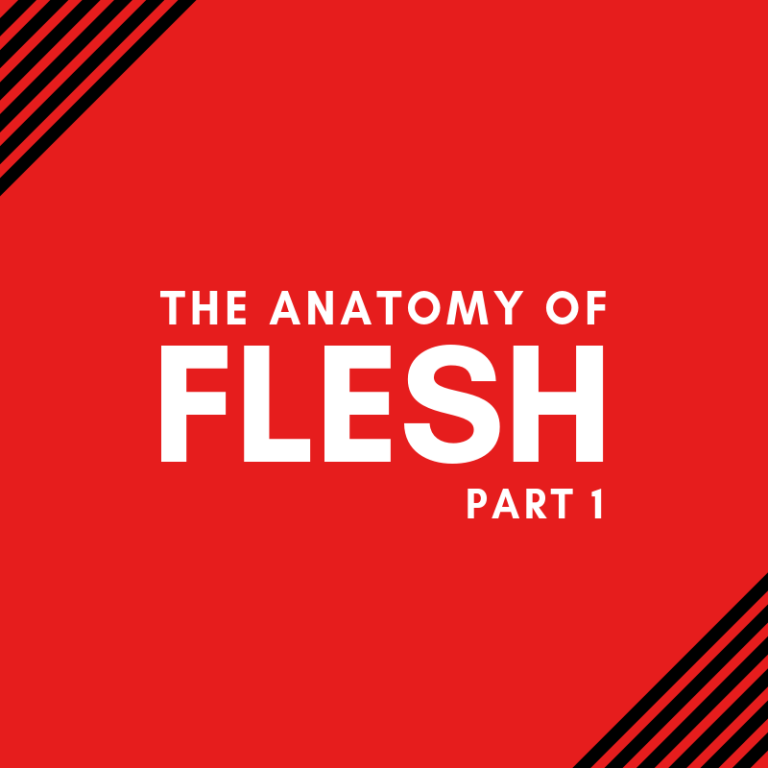 ANATOMY (1)