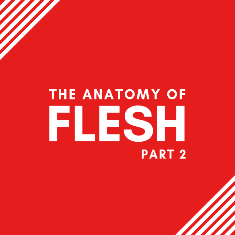 ANATOMY (2)