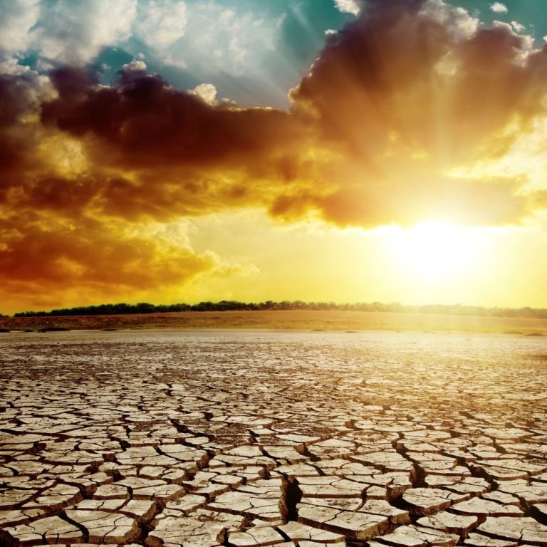 dry-earth_100813