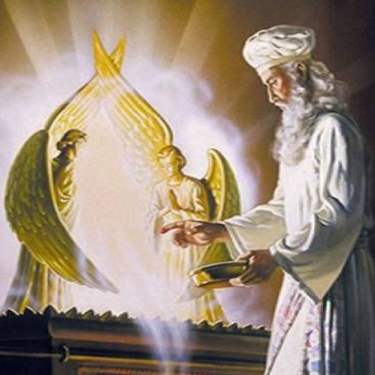 holyholies