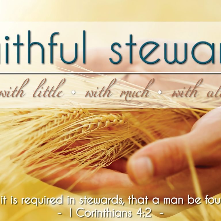 Stewardship-2018-1