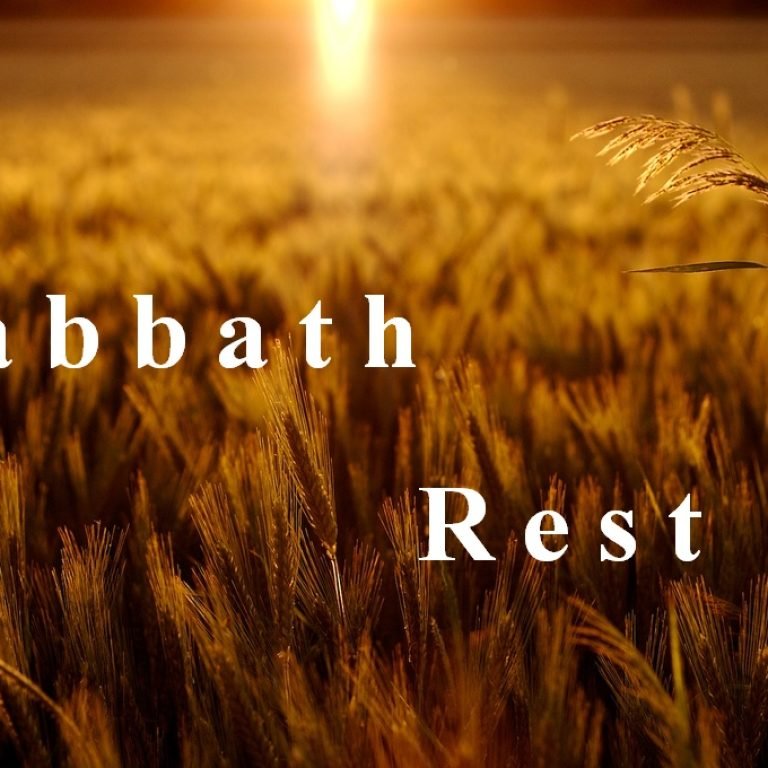 sab rest